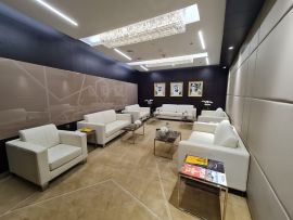 VVIP Terminal: Meet and Assist with VVIP Lounge - Departure from Zayed Terminal